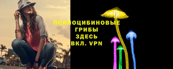 ECSTASY Алзамай