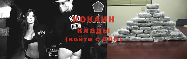 ECSTASY Алзамай