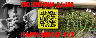 шишки Аша