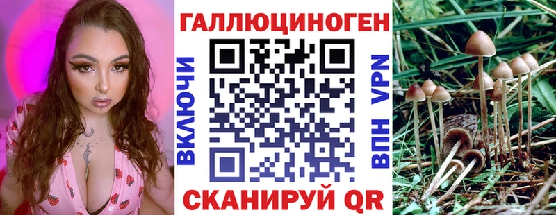 где можно купить Ахтубинск Галлюциногенные грибы MAGIC MUSHROOMS